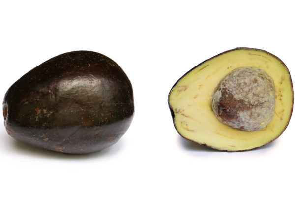 Avocado Jumbo Bio Uganda ~ 500 gr