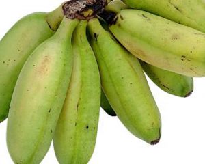 Banane pentru gatit Matoke Bio Uganda ~ 500 gr