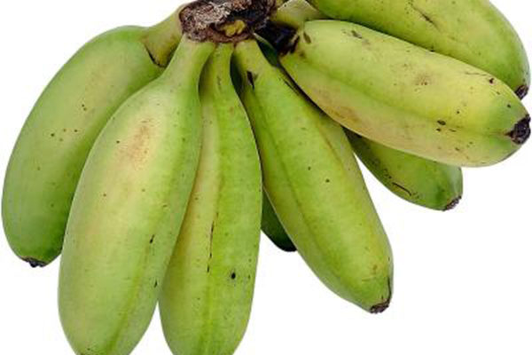 Banane pentru gatit Matoke Bio Uganda ~ 500 gr