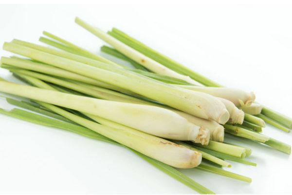 Lemon Grass Bio Uganda 50 gr