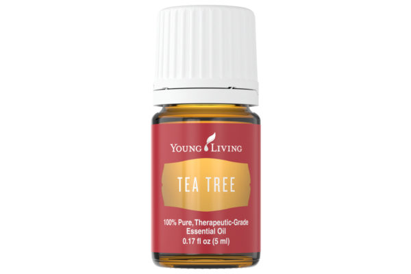 Ulei esențial Tea Tree ( Melaleuca Alternifolia ) Young Living 5 ml