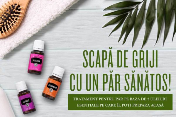 Ulei esențial din lemn de cedru Cedarwood Young Living 15 ml - imagine 3