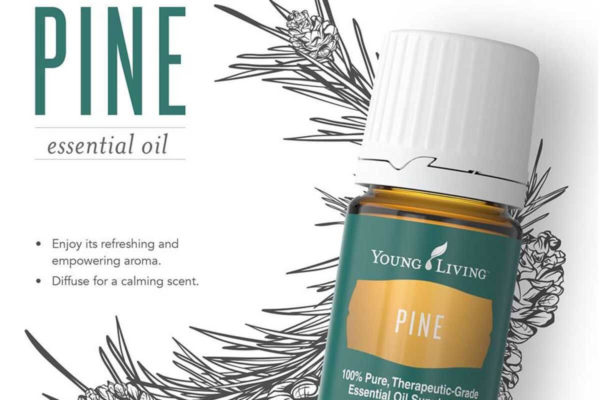 Ulei esențial de pin Pine Young Living 15 ml - imagine 2