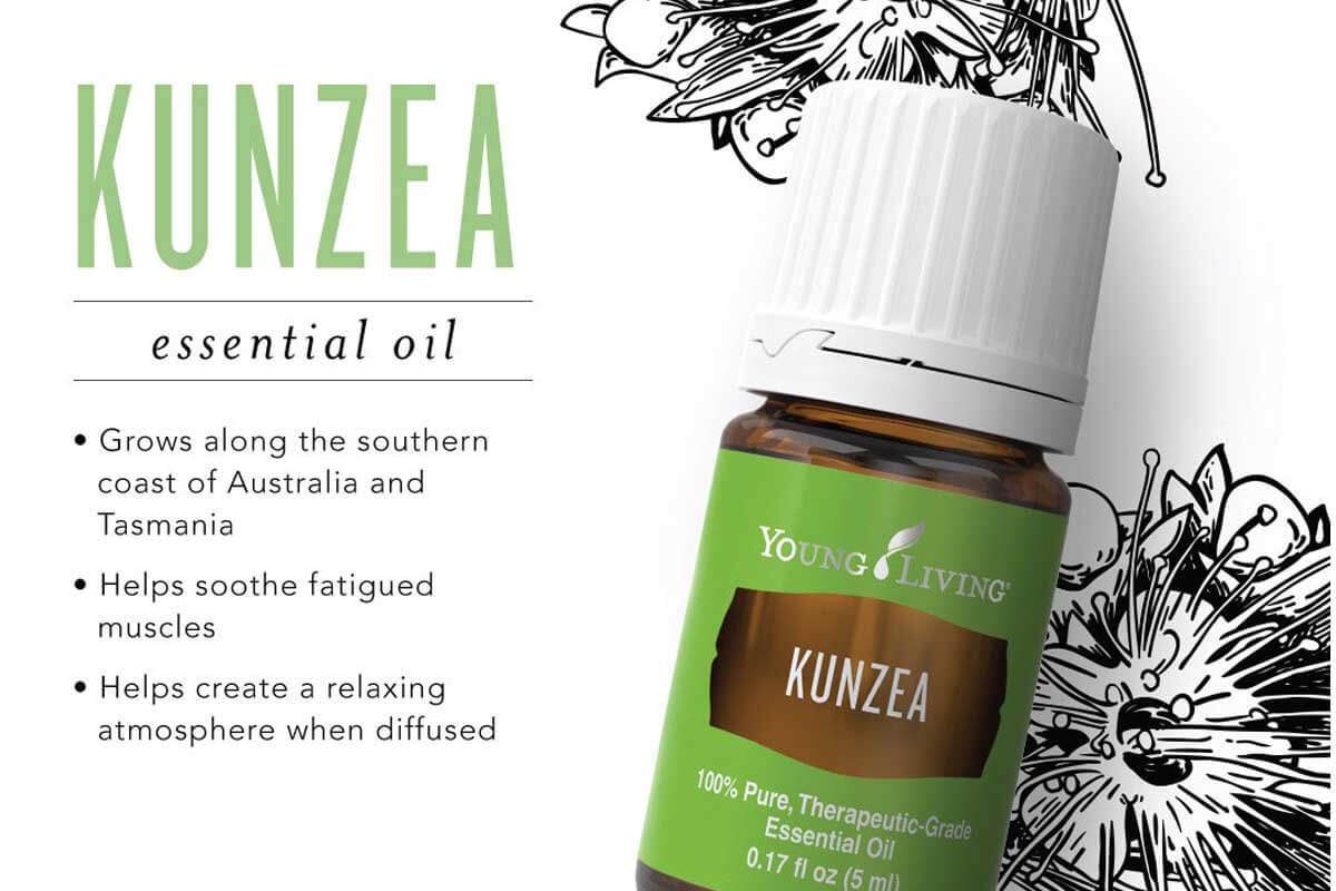 Young Living Kunzea Essential Oil - 5ml