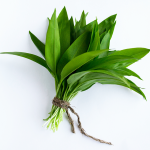 Leurda GoVeggie Legume de sezon